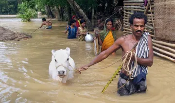 Bihar Flood - India TV Hindi