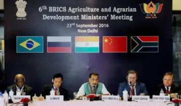 ब्रिक्स देशों ने दिया कृषि निर्यात सब्सिडी खत्म करने पर जोर, दलहन खेती को दिया जाएगा बढ़ावा- India TV Paisa