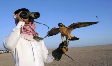 qatar prince allowed to hunt pakistan protected bird- India TV Hindi