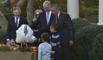 with the tradition of thanksgiving obama give life to birds- India TV Hindi