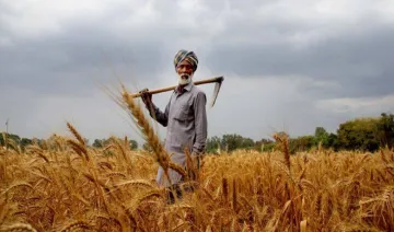 Big Relief : केंद्र सरकार ने कृषि ऋण के भुगतान पर ब्याज छूट का लाभ मिलने की अवधि और 60 दिन बढ़ाई- India TV Paisa