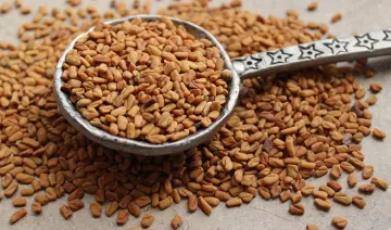  fenugreek seeds- India TV Hindi