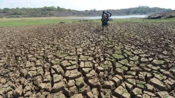drought- India TV Hindi