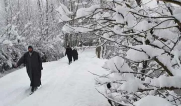 Kashmir Snow- India TV Hindi