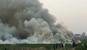 bellandur lake fire- India TV Hindi