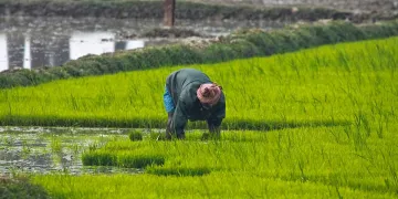 Farmers- India TV Hindi