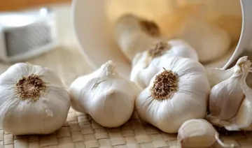garlic- India TV Hindi