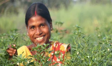 टाटा ट्रस्ट की मदद से चार राज्यों में उभर रहे हैं लखपति किसान, 450 गांवों में पहल- India TV Paisa