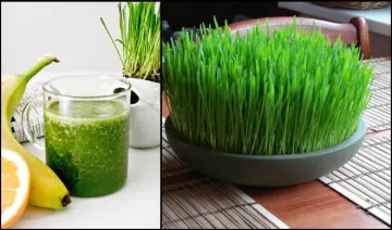 banana and wheat grass juice- India TV Hindi