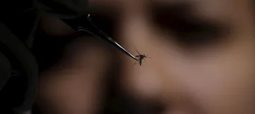 malaria- India TV Hindi