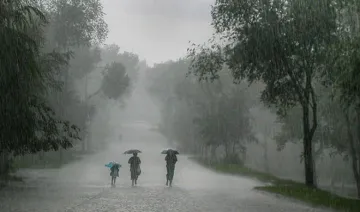 heavy rain- India TV Hindi