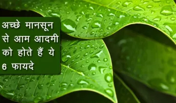 #monsoon2017: मानसून ऐसे डालता है आपकी जेब पर असर, अच्‍छी बारिश से आपको होते हैं ये 6 फायदे- India TV Paisa