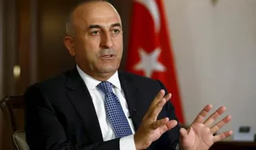 Turkish minister will visit Qatar in tension between Gulf...- India TV Hindi