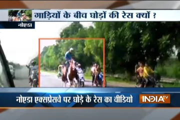 Horse racing on Noida Expressway- India TV Hindi