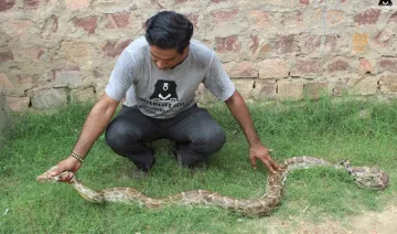 python- India TV Hindi