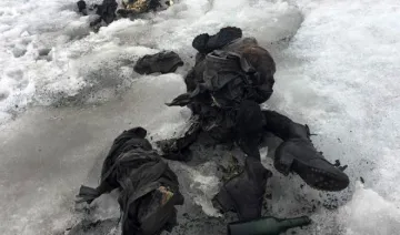 couple bodies found in a melting swiss glacier after 75...- India TV Hindi