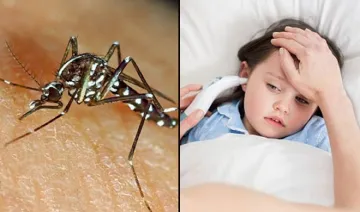 chikungunya- India TV Hindi