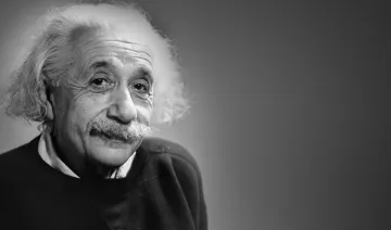 Einstein picture can be sold for one lakh rupees- India TV Hindi