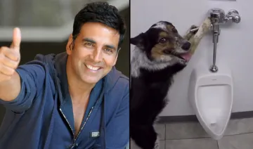 akshay- India TV Hindi