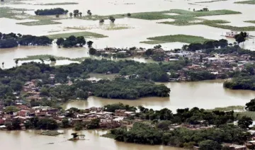 Bihar flood- India TV Hindi