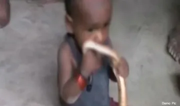 Snake-Bite- India TV Hindi