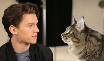 tom holland- India TV Hindi