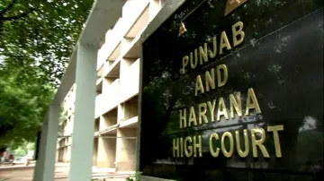 punjab and haryana court- India TV Hindi