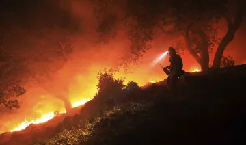 California wildfires | AP Photo- India TV Hindi