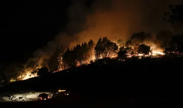 California wildfires- India TV Hindi