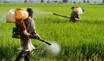 pesticides- India TV Hindi