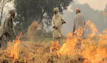 punjab- India TV Hindi