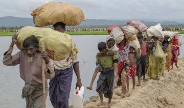 Rohingya Refugees | AP Photo- India TV Hindi