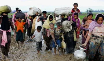 UAE to provide 7 million dollar to Rohingya refugees- India TV Hindi