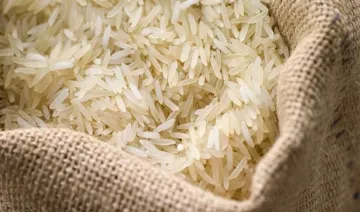 चावल निर्यात में आया 20% का उछाल, बासमती और गैर-बासमती को मिलाकर 72 लाख टन से अधिक एक्सपोर्ट- India TV Paisa