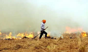किसानों को अब नहीं पड़ेगी पराली जलाने की जरूरत, संपूर्ण एग्री वेंचर्स लगाएगी सीएनजी बनाने वाले सयंत्र- India TV Paisa