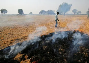 <p>सरकार का पराली जलाने...- India TV Paisa