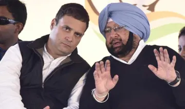 amarinder singh and rahul gandhi- India TV Hindi