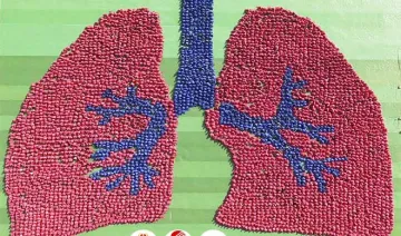 lungs formation- India TV Hindi