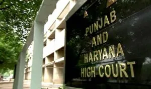punjab haryana highcourt- India TV Hindi
