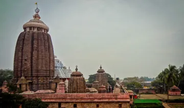 Jagannath temple- India TV Hindi