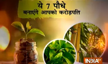 Plants- India TV Hindi