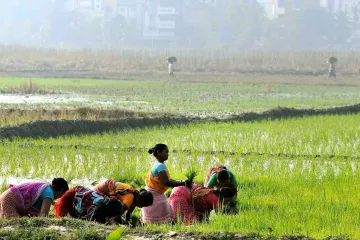 Farmers Income- India TV Paisa