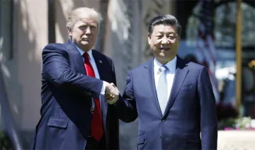 Donald Trump and Xi Jinping | AP Photo- India TV Hindi