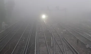 Shadow dense fog many flights and trains late on New Year- India TV Hindi