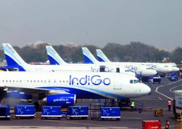 Indigo cancels 47 flights- India TV Paisa