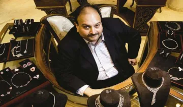 mehul choksi- India TV Hindi