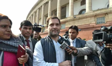 rahul gandhi- India TV Hindi