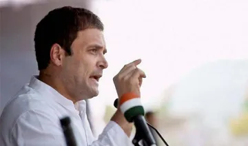 Congress President Rahul Gandhi- India TV Hindi