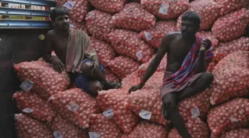 Onion export fall 20 percent- India TV Paisa
