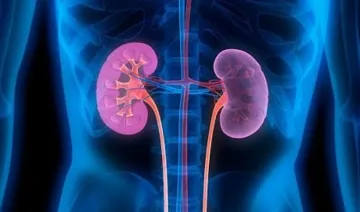 kidney problem - India TV Hindi